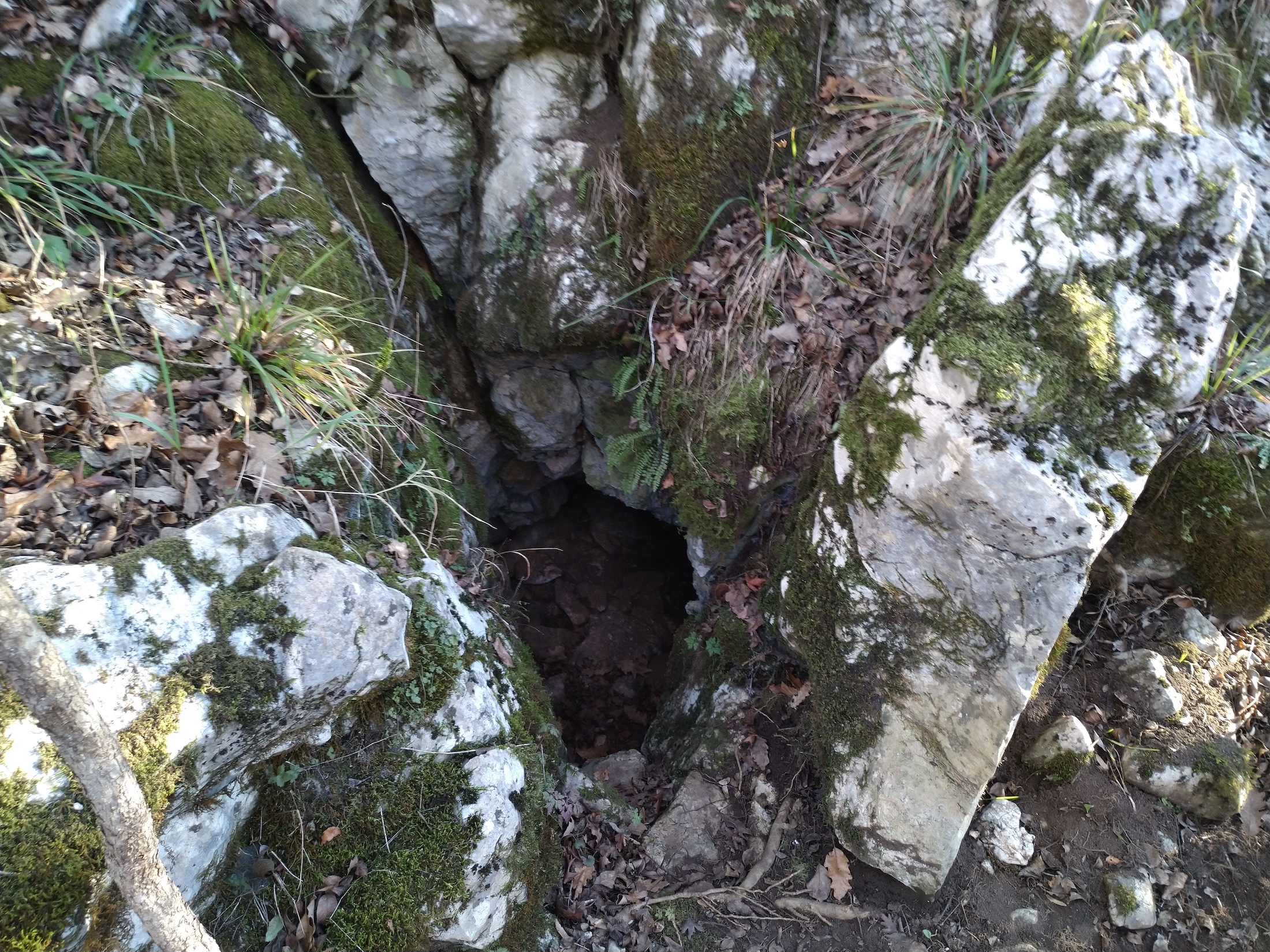 Peștera Limaxului - Image 5